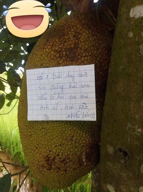 10-anh-hai-hot-nhat-facebook-trong-ngay-5