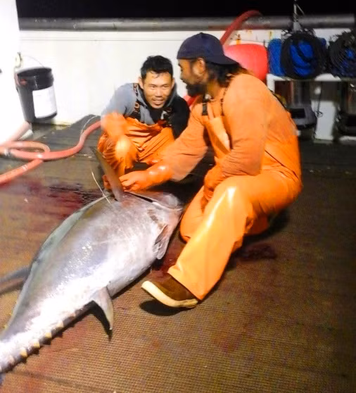 Anh Nguyễn Tuấn (trái) cùng các cộng sự làm việc trên tàu cá