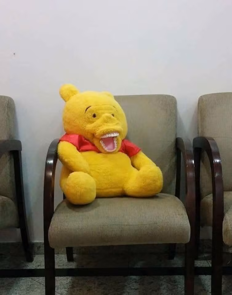 68544499_728513204258199_3744759355199717376_n