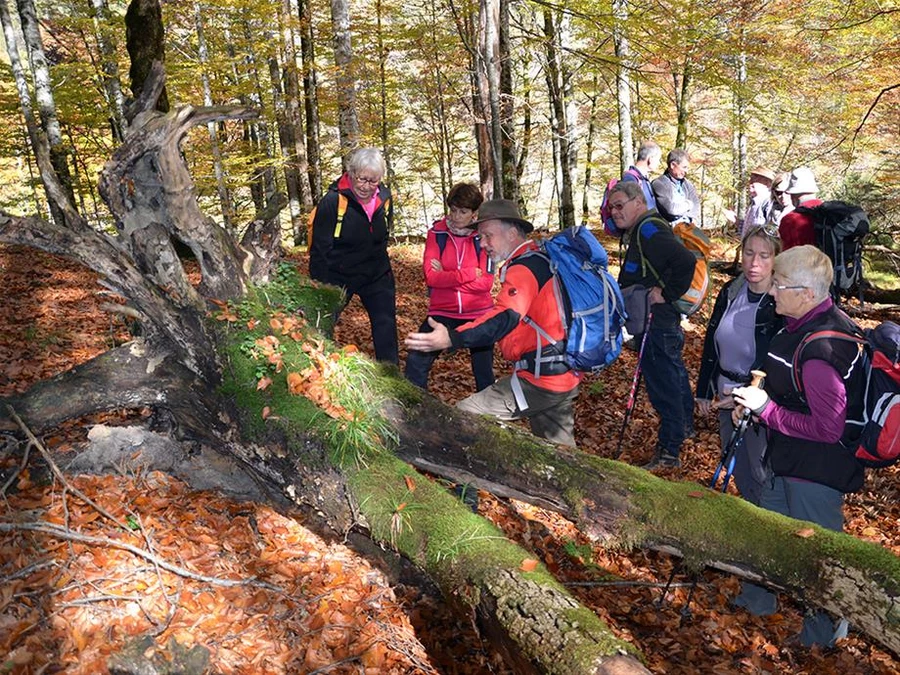 Du khách tham quan tại Công viên quốc gia Kalkalpen. Ảnh: nationalparksaustria.at