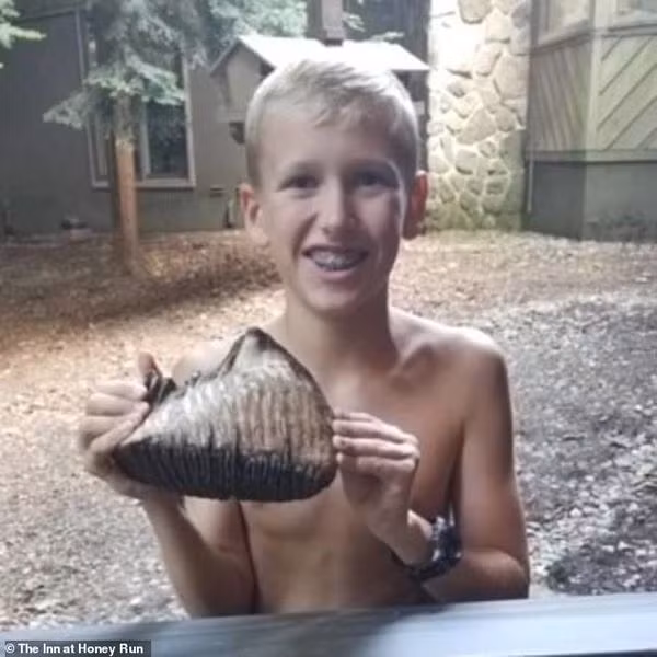 Cậu bé&nbsp;Jackson Hepner phát hiện răng hàm voi ma mút khi đi chụp hình cùng gia đình.