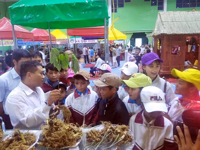 Sinh động những giờ học về cây dược liệu