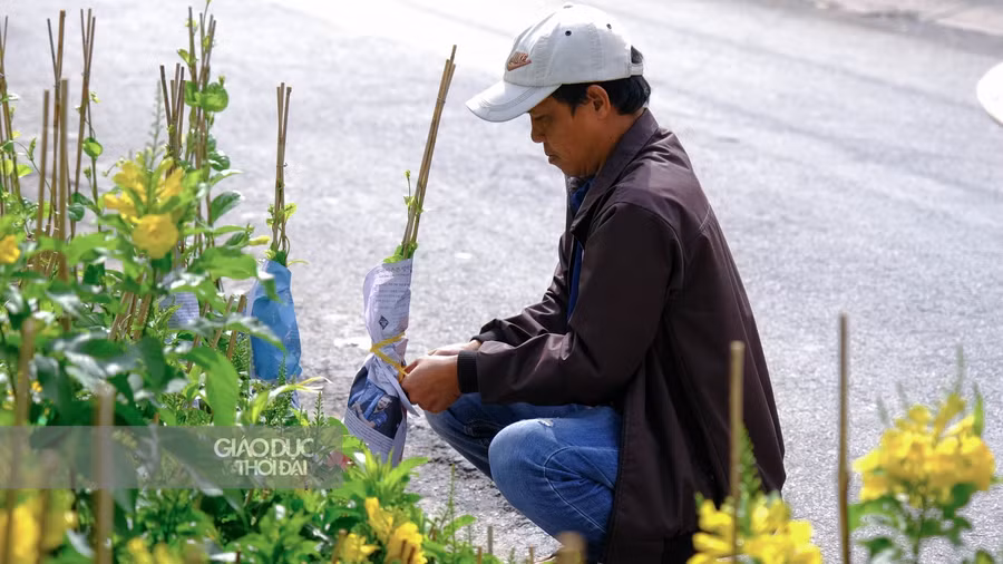 Nông dân Sa Đéc đang bó hoa chuẩn bị giao cho khách hàng.