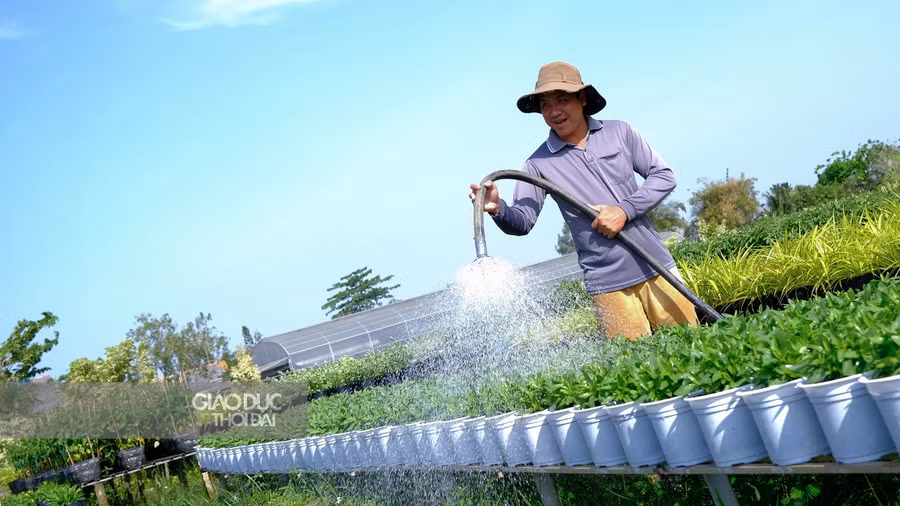 Nông dân phấn khởi chăm sóc vườn hoa đón du khách.