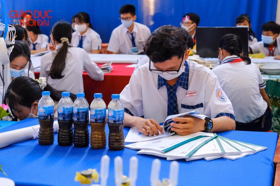 Một em học sinh đang xem lại dự án để chuẩn bị cho phần thi của mình.