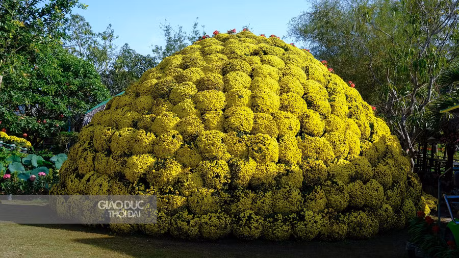 Mô hình bó hoa kết từ các chậu hoa cúc mâm xôi và xương rồng bát tiên chuẩn bị được xác lập kỷ lục Việt Nam.