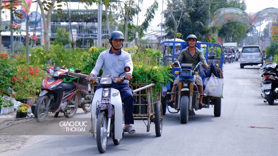 Đồng Tháp: Người dân Làng hoa Sa Đéc tất bật chuẩn bị tuần lễ văn hoá du lịch ảnh 7