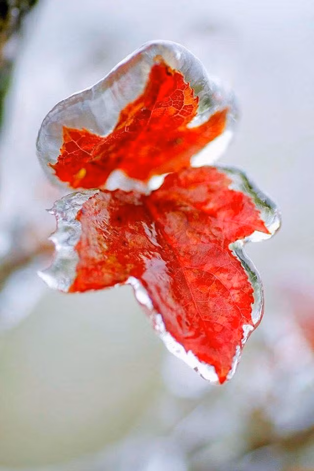 Gioi tre khong ngai gia ret check-in bang tuyet o Mau Son hinh anh 4