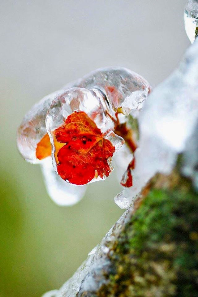 Gioi tre khong ngai gia ret check-in bang tuyet o Mau Son hinh anh 3