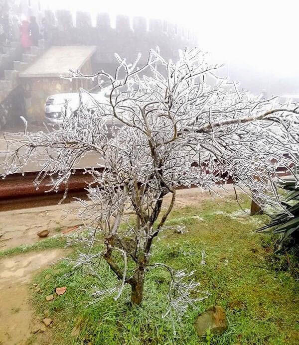 Gioi tre khong ngai gia ret check-in bang tuyet o Mau Son hinh anh 6