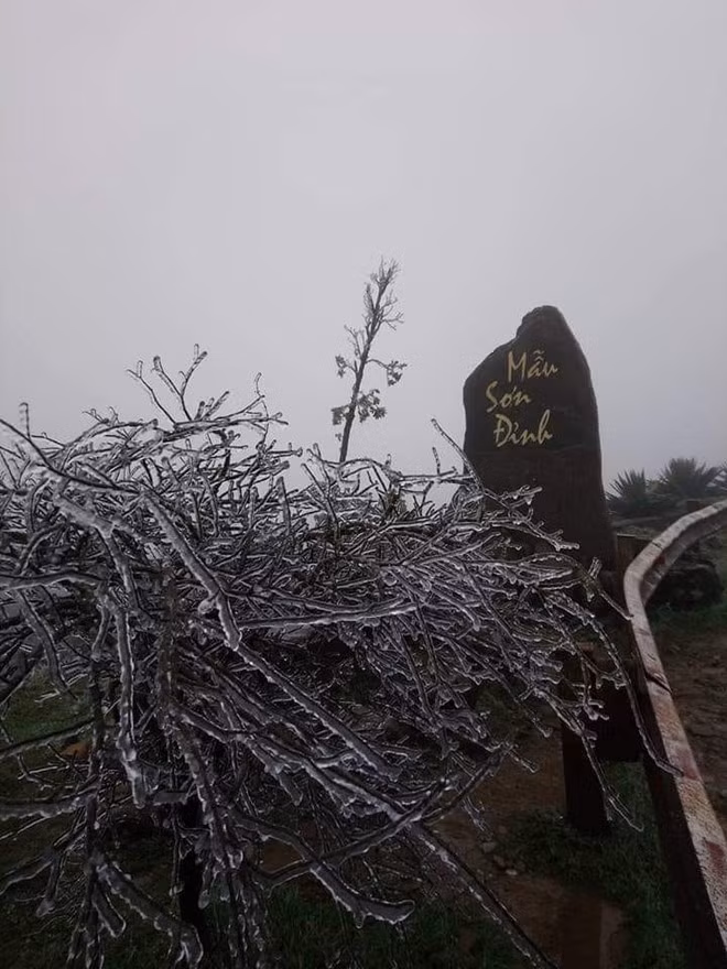 Hình ảnh ấn tượng trên đỉnh Mẫu Sơn. Nhiều cây cỏ hiện bị đóng băng và tạo nên nhiều tác phẩm nghệ thuật. Lượng người đổ về Mẫu Sơn cũng ngày càng đông. Ảnh: Tùng Nguyễn. Gioi tre khong ngai gia ret check-in bang tuyet o Mau Son hinh anh 12