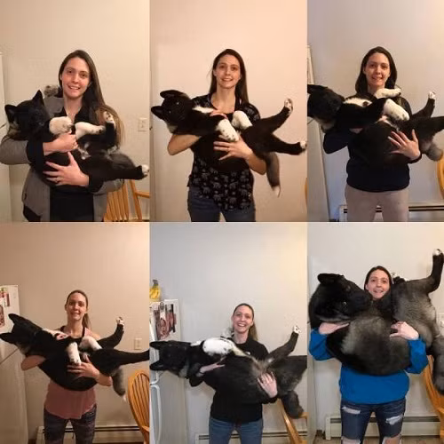 Phát triển vượt bậc.