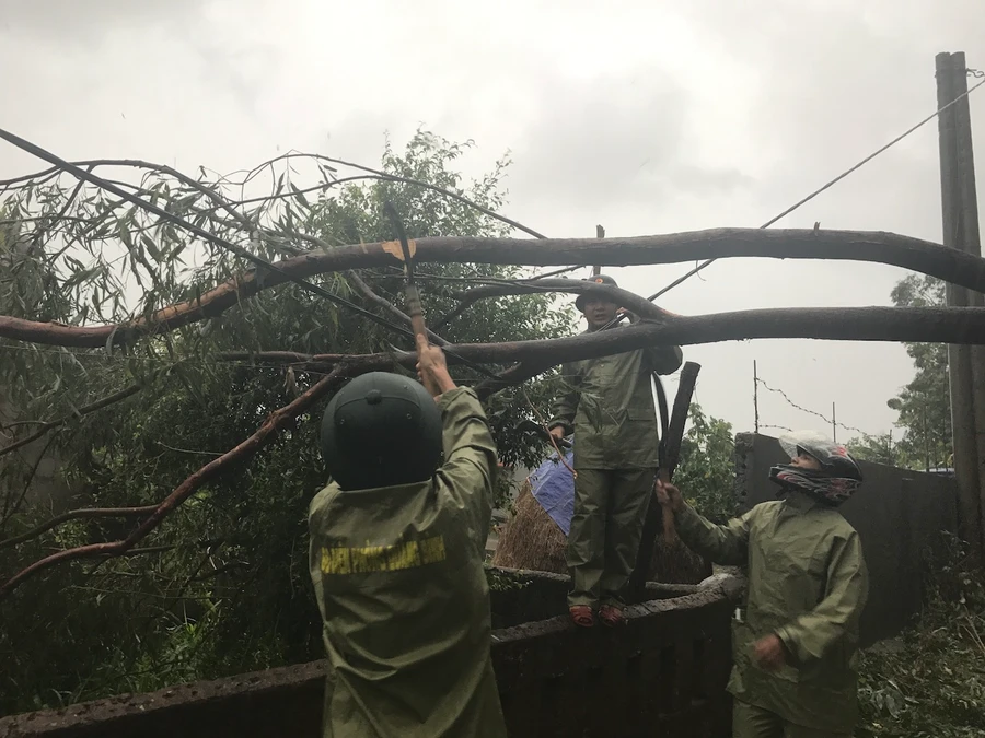 Bão số 10 hướng vào miền Trung: Cuồng phong