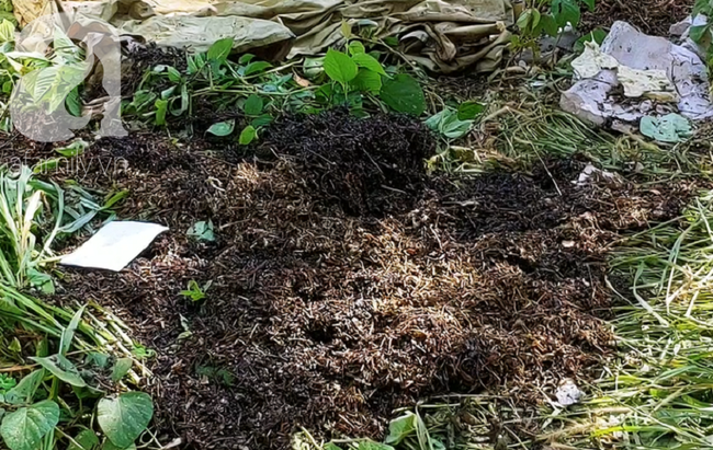 Lộ diện người phụ nữ bí ẩn đến thuê nhà, nơi phát hiện 2 thi thể bị đổ bê tông ở Bình Dương - Ảnh 3. Lộ diện người phụ nữ bí ẩn đến thuê nhà, nơi phát hiện 2 thi thể bị đổ bê tông ở Bình Dương - Ảnh 3.