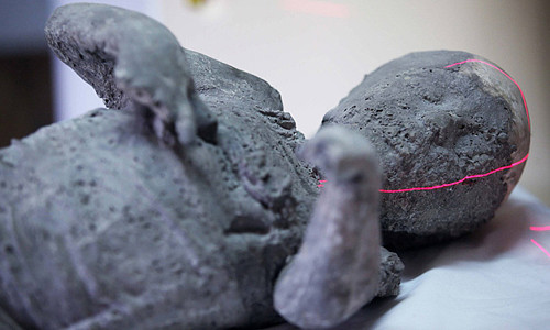 Một người đá ở Pompeii, Italy.