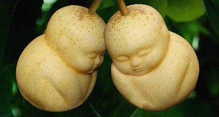 10 loại quả siêu đắt trên thế giới
