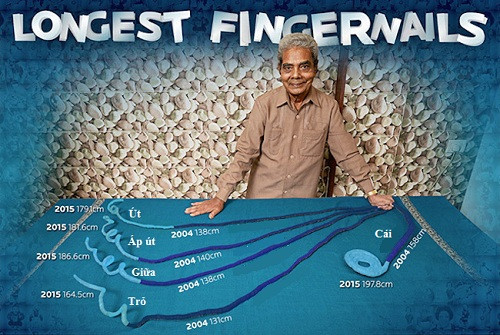 Tổng chiều dài bộ móng lên tới 9 mét. 