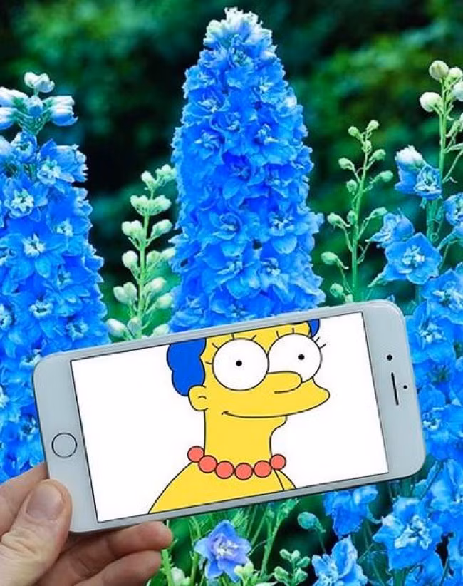 song ao voi chiec dien thoai nhu the nao cho "chat"? hinh anh 11