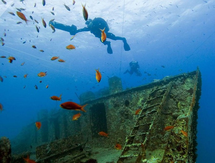 Những bí mật thú vị dưới đáy đại dương ảnh 4 Những bí mật thú vị dưới đáy đại dương ảnh 4