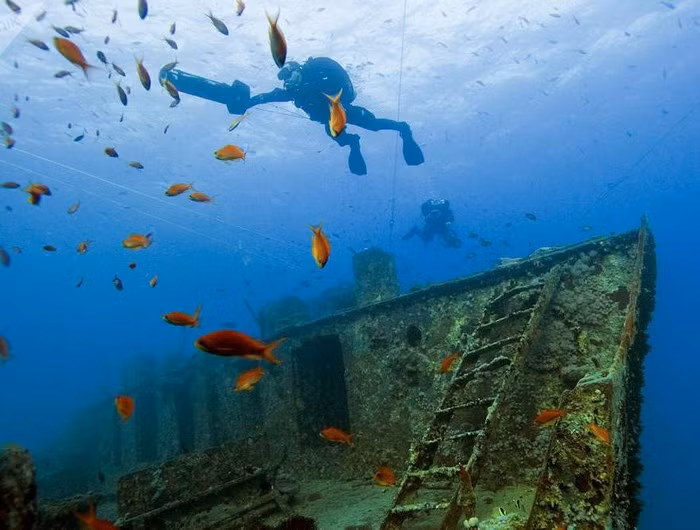 Những bí mật thú vị dưới đáy đại dương ảnh 4