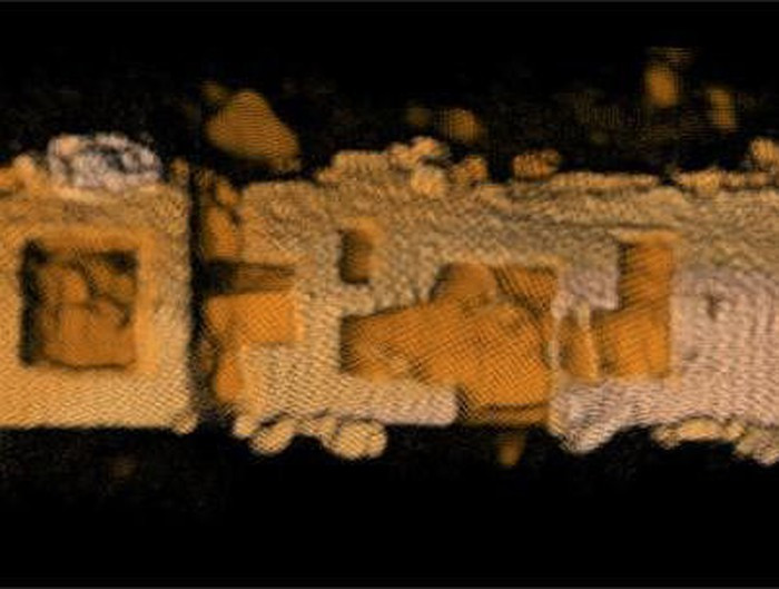 Những bí mật thú vị dưới đáy đại dương ảnh 10 Những bí mật thú vị dưới đáy đại dương ảnh 10