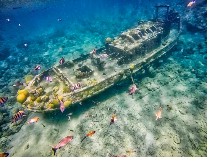 Những bí mật thú vị dưới đáy đại dương ảnh 8