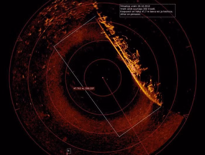 Những bí mật thú vị dưới đáy đại dương ảnh 3