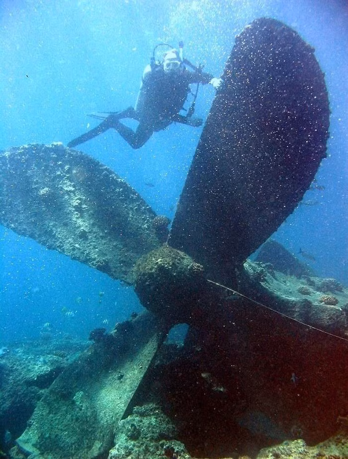 Những bí mật thú vị dưới đáy đại dương ảnh 9