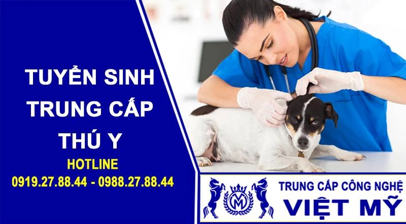 Bác sĩ thú y, nghề đang khá khan hiếm nhân lực