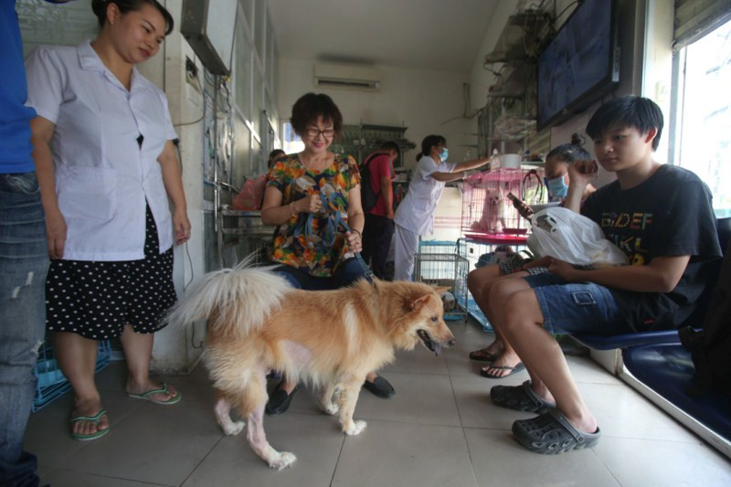 Nhiều bệnh viện Thú y tại TP.HCM và Hà Nội đang quá tải "bệnh nhân", thiếu hụt đội ngũ bác sĩ chăm sóc Nhiều bệnh viện Thú y tại TP.HCM và Hà Nội đang quá tải "bệnh nhân", thiếu hụt đội ngũ bác sĩ chăm sóc