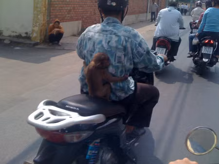 Chết mất thôi với chiêu PR của "thánh" xe ôm nước ta ảnh 8