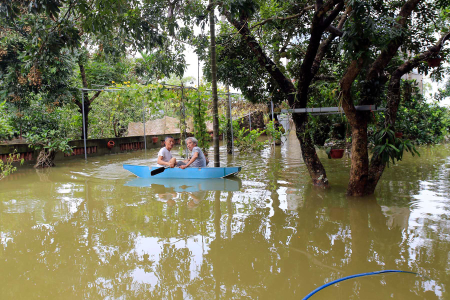 Ngồi trên thuyền "ngắm" vườn nhà ngập nước
