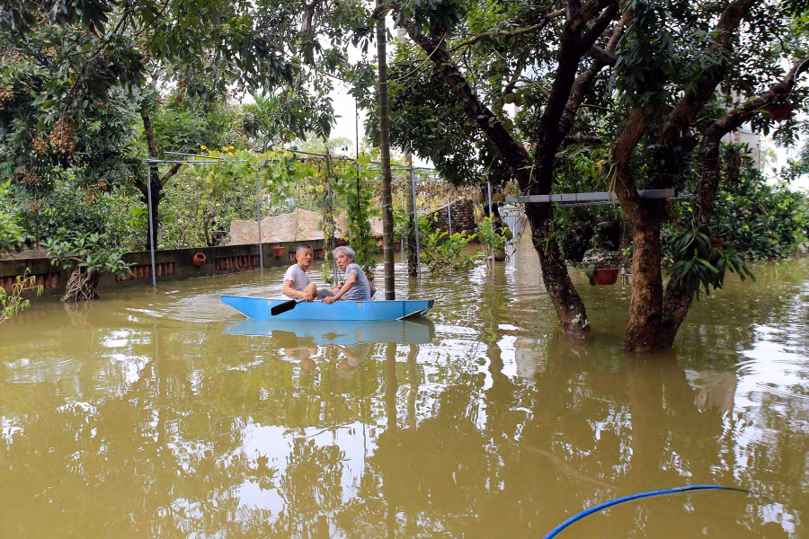 Ngồi trên thuyền "ngắm" vườn nhà ngập nước