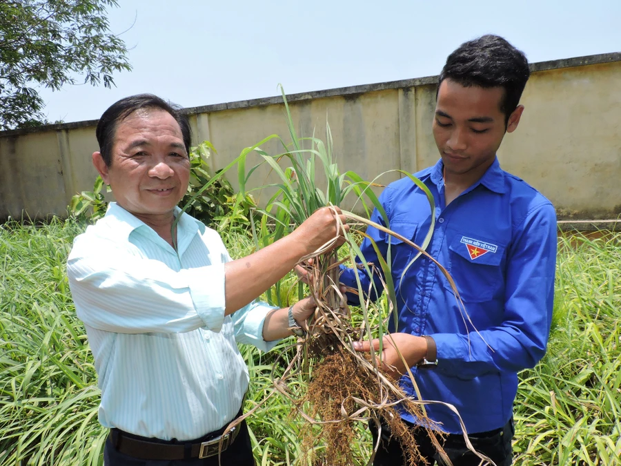 Mê nghiên cứu khoa học, nhận học bổng toàn phần