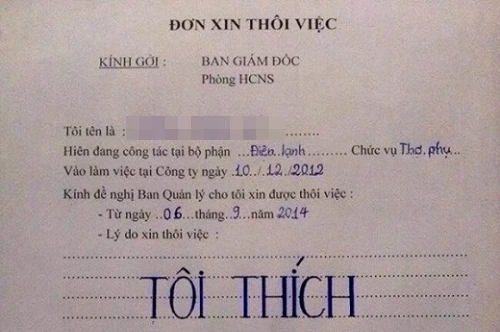 Lý do xin nghỉ ngắn gọn và bá đạo. 