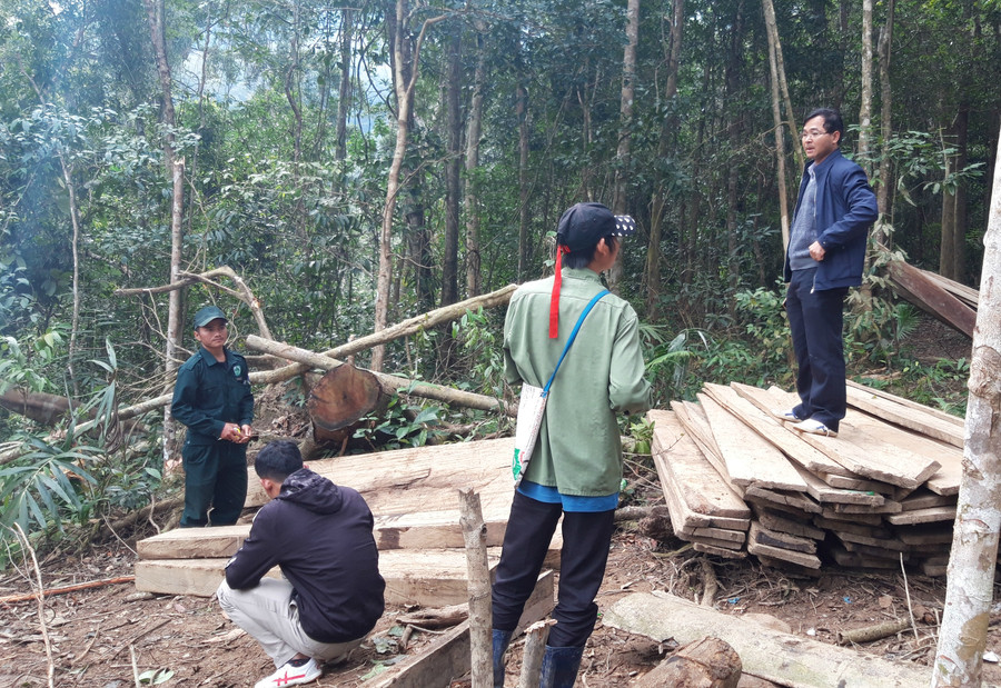 Ông Mai Văn Mậu (ngoài cùng bên phải) đến hiện trường kiểm tra khu vực bị phá và cho rằng, bản thân biết việc người dân lấy gỗ rừng làm nhà. Ảnh: Dung Nguyễn Ông Mai Văn Mậu (ngoài cùng bên phải) đến hiện trường kiểm tra khu vực bị phá và cho rằng, bản thân biết việc người dân lấy gỗ rừng làm nhà. Ảnh: Dung Nguyễn