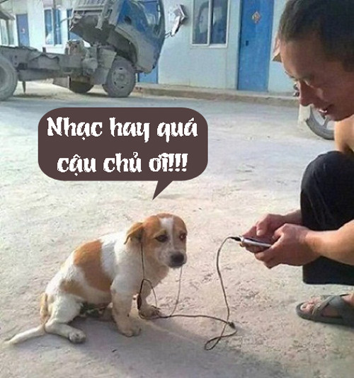 Nhạc hay quá mà.