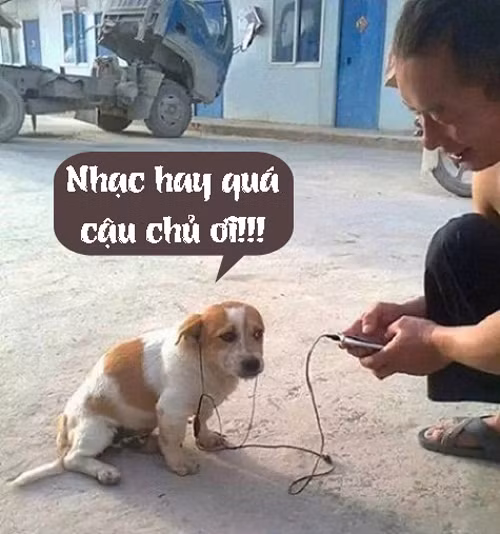 Nhạc hay quá mà.