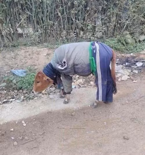 Mùa đông này không có lo lạnh.