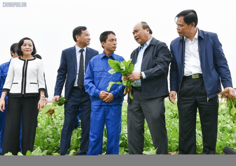 Thủ tướng thăm hỏi, động viên người lao động trên nông trường của Công ty Doveco - Ảnh: VGP/Quang Hiếu. Thủ tướng thăm hỏi, động viên người lao động trên nông trường của Công ty Doveco - Ảnh: VGP/Quang Hiếu.