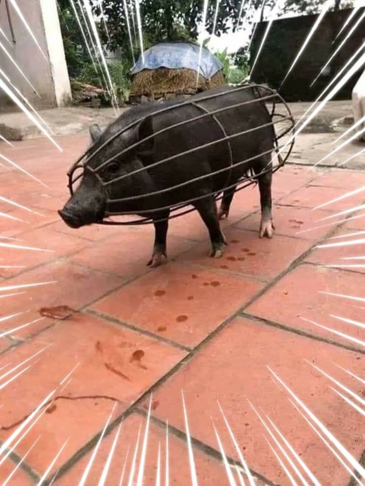 Thấy bảo năm nay nhiều cạm bẫy