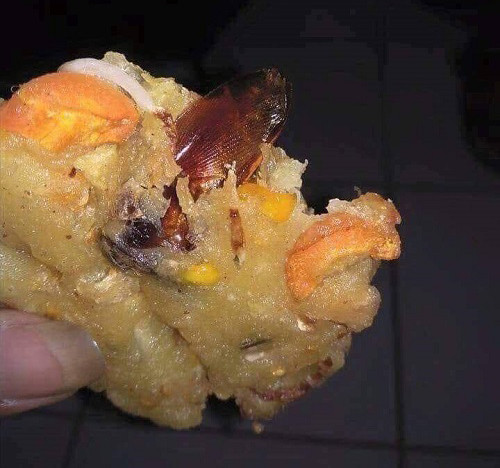 Bánh gián là có thật.