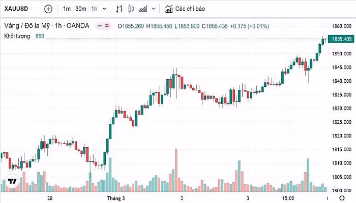 Biểu đồ biến động giá vàng trong 24 giờ qua.