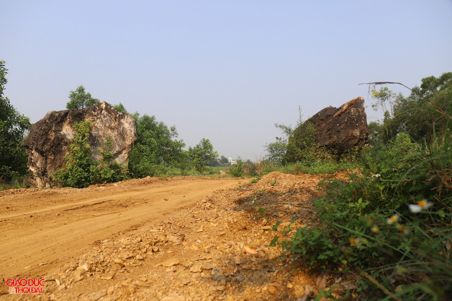 Nhiều cây cối lớn mọc sát chân lèn đã bị doanh nghiệp múc đi. Một số vị trí bị máy xúc đào dài hơn 10m, rộng khoảng 3m, cao hơn 1m.
