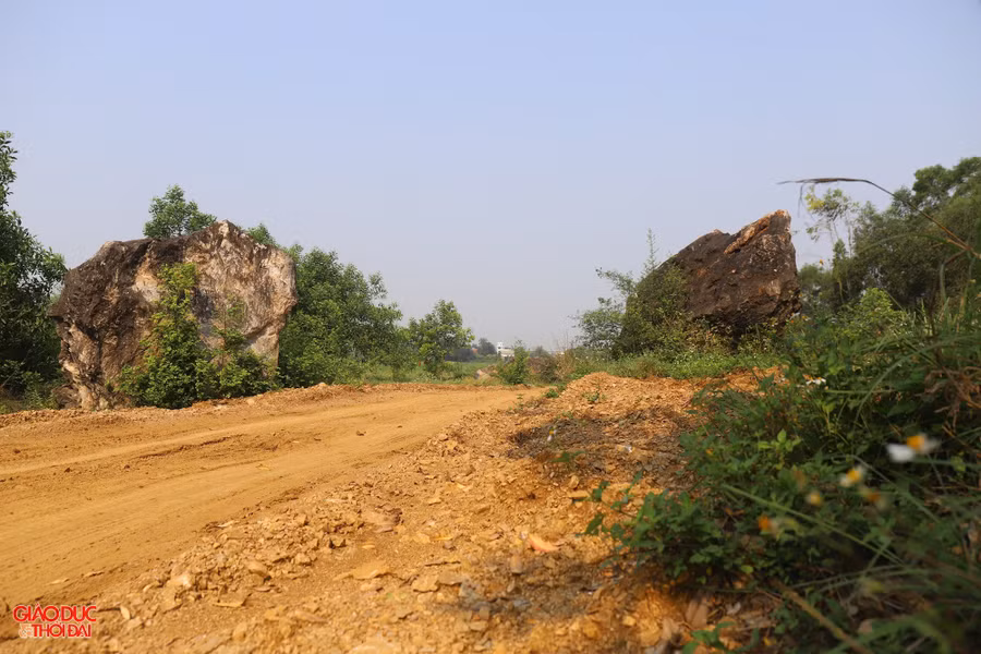 Nhiều cây cối lớn mọc sát chân lèn đã bị doanh nghiệp múc đi. Một số vị trí bị máy xúc đào dài hơn 10m, rộng khoảng 3m, cao hơn 1m.