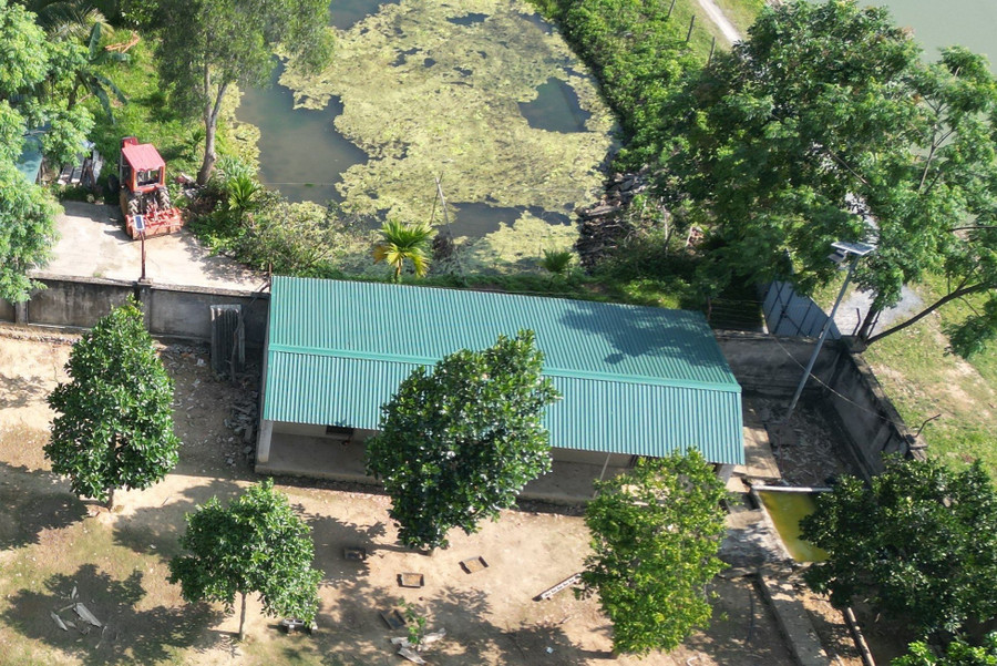 Vị trí được cho là sử dụng để chăn nuôi. (Ảnh: BM).