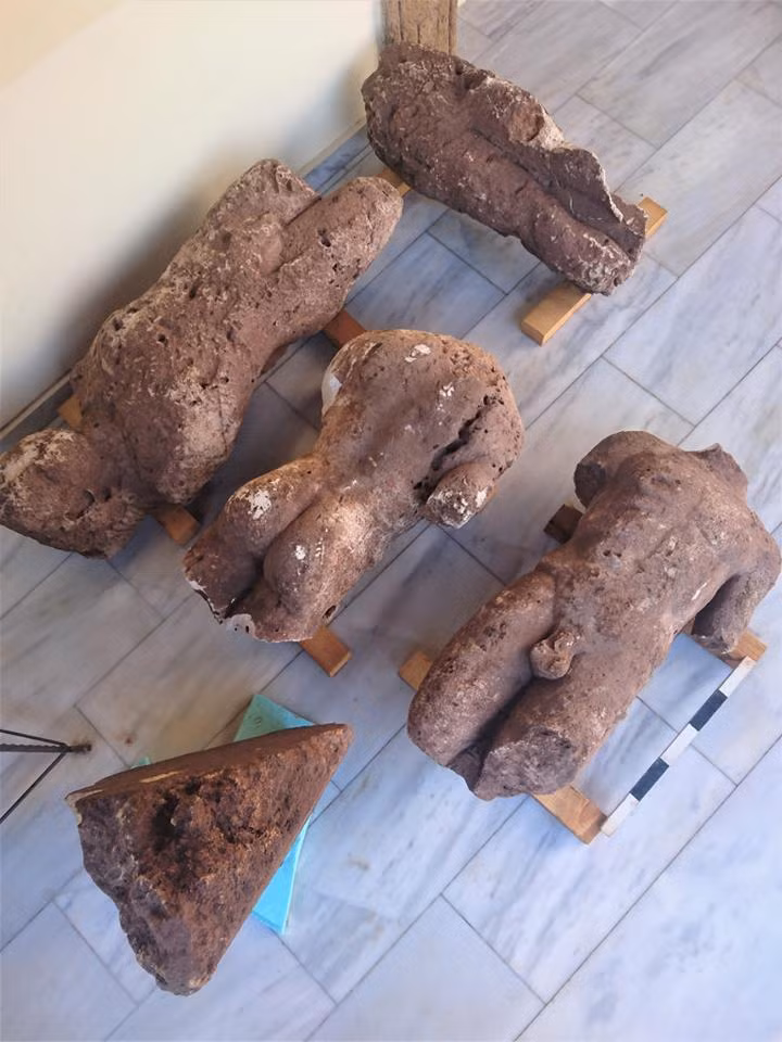 dao dat trong trot, nong dan ai cap phat hien co vat quy hinh anh 3