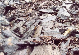 bi-mat-duoi-lop-bang-blogtamsu6