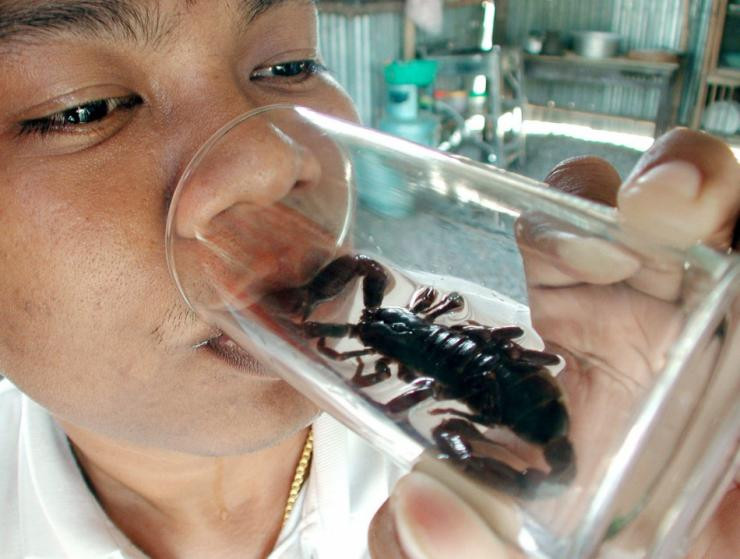 Dùng đỉa, giòi để chữa bệnh ảnh 3