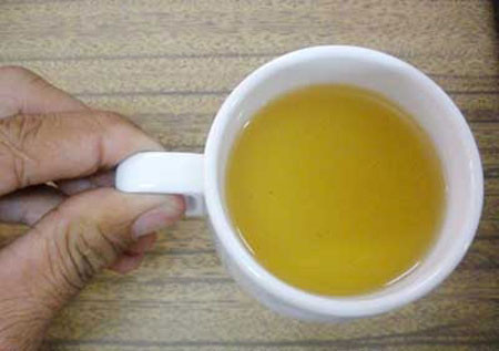 Dùng đỉa, giòi để chữa bệnh ảnh 6